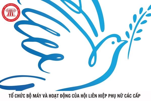 Hỏi đáp Pháp luật