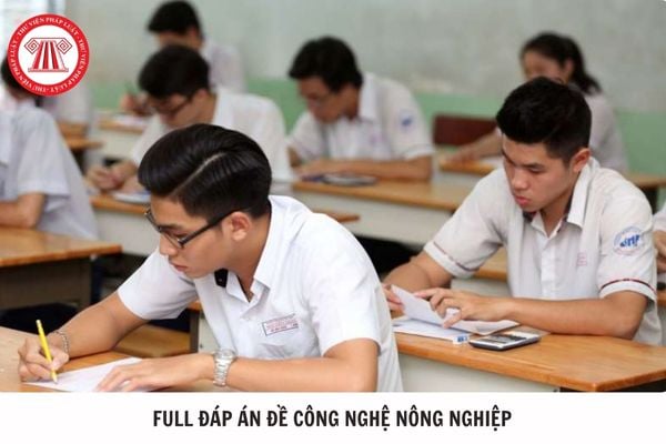 Hỏi đáp Pháp luật