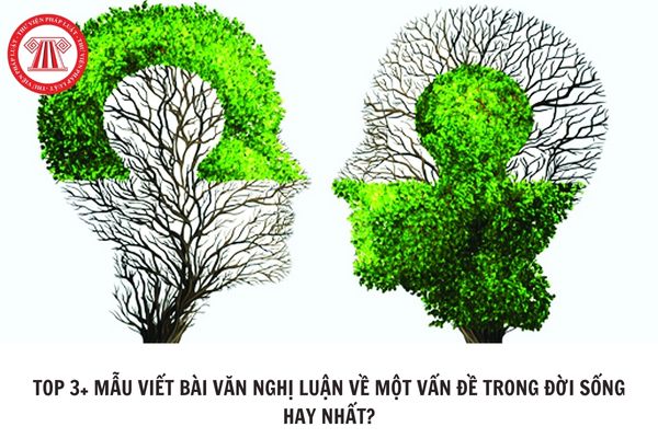 Hỏi đáp Pháp luật