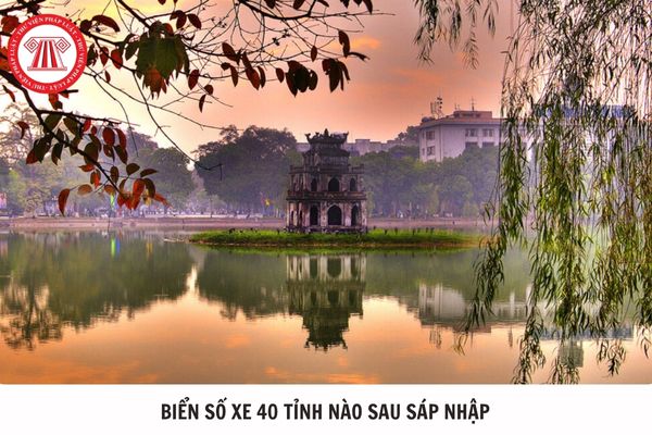 Hỏi đáp Pháp luật