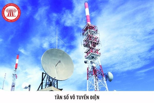 Hỏi đáp Pháp luật