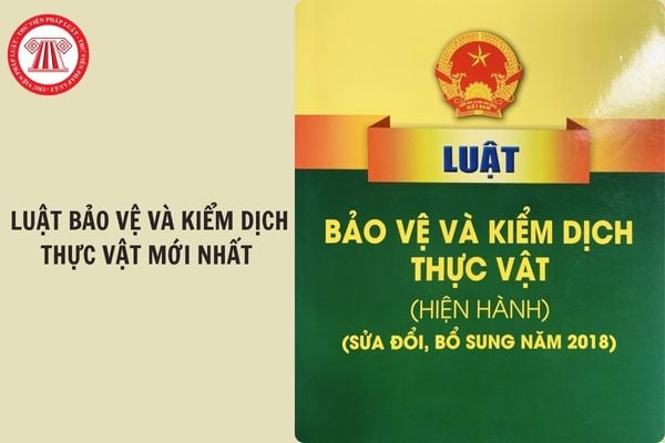 Hỏi đáp Pháp luật