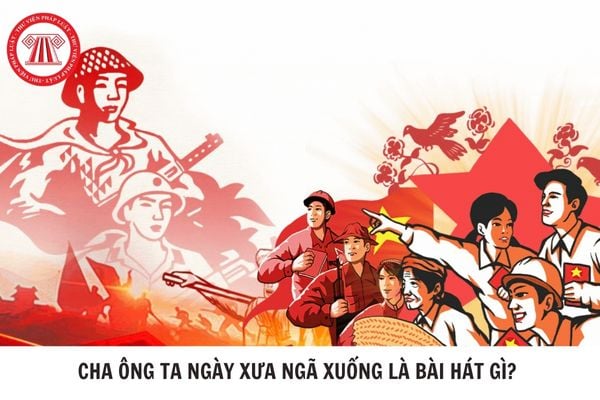 Hỏi đáp Pháp luật