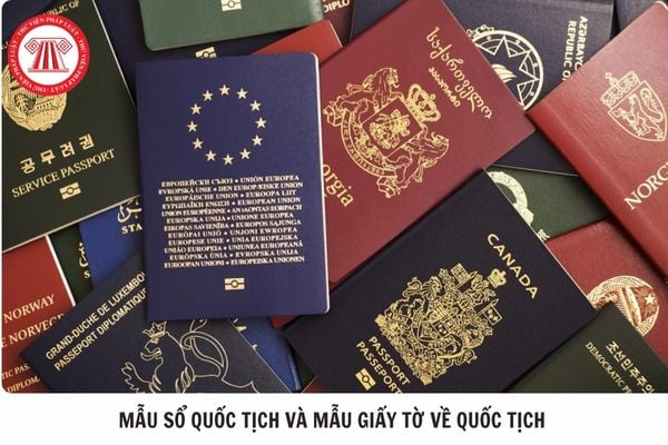 Hỏi đáp Pháp luật