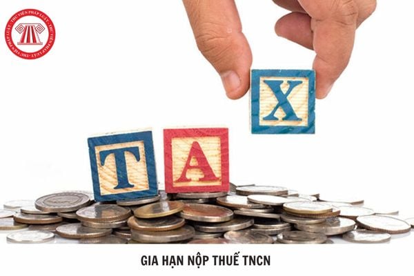 Hỏi đáp Pháp luật