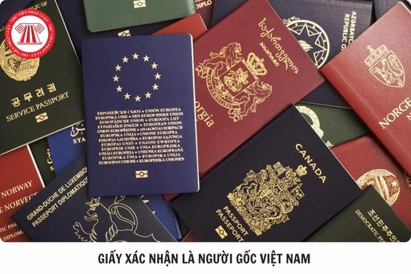 Hỏi đáp Pháp luật