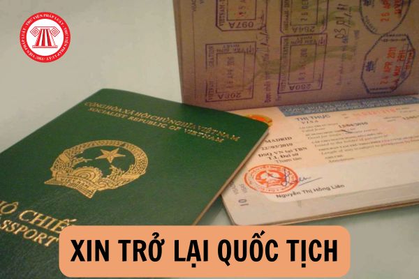 Hỏi đáp Pháp luật