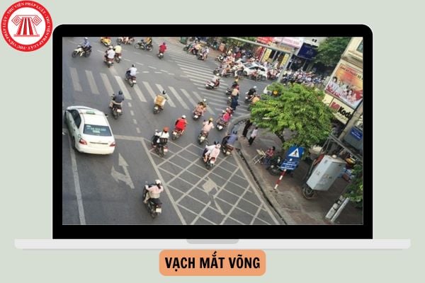 Vạch mắt võng đèn đỏ có được rẽ phải không?