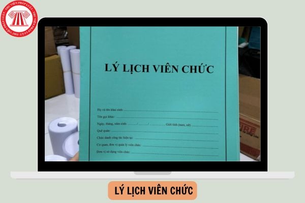 Mẫu Lý lịch viên chức mẫu HS01 mới nhất năm 2025?