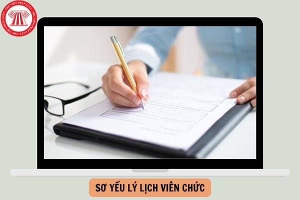 Mẫu sơ yếu lý lịch viên chức HS02-VC/BNV mới nhất năm 2025?