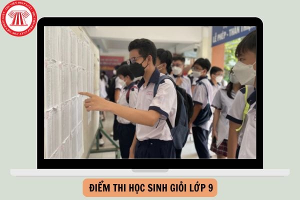 Hướng dẫn tra cứu điểm thi học sinh giỏi lớp 9 Hà Nội 2025? Quy định xếp giải thi học sinh giỏi cấp thành phố Hà Nội lớp 9 như thế nào?