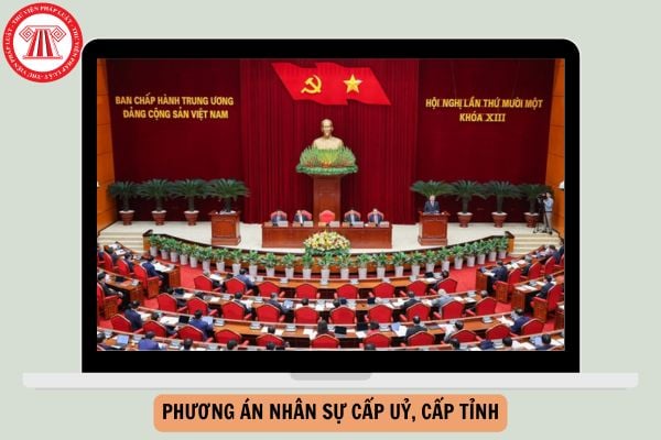 Hỏi đáp Pháp luật