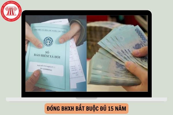 Hỏi đáp Pháp luật