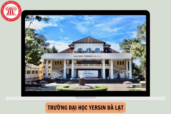 Điểm chuẩn trường đại học Yersin Đà Lạt 2025 chính thức như thế nào?