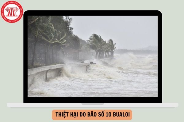 Hỏi đáp Pháp luật
