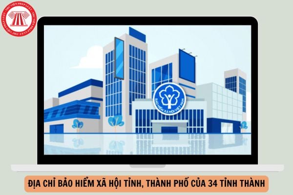 Hỏi đáp Pháp luật