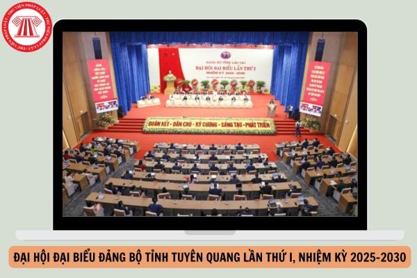 Hỏi đáp Pháp luật