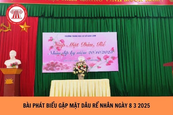 Bài phát biểu gặp mặt dâu rể nhân ngày 8 3 năm 2025 ý nghĩa?