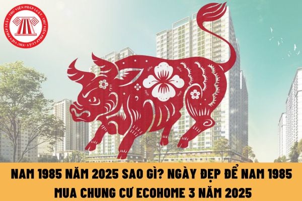 Nam 1985 năm 2025 sao gì? Ngày đẹp để nam 1985 mua chung cư Ecohome 3 năm 2025