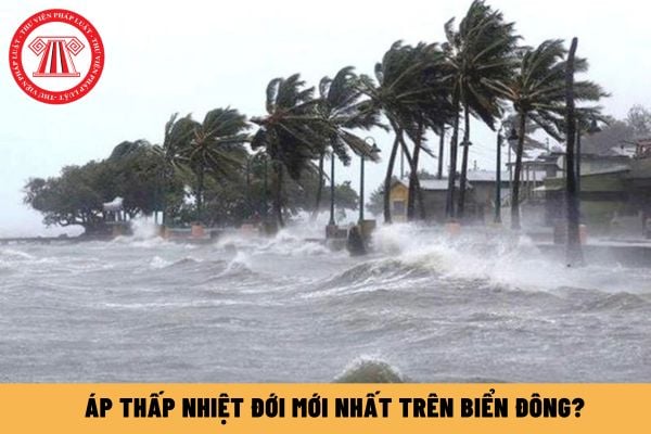 Áp thấp nhiệt đới mới nhất trên Biển Đông? Tiềm năng bất động sản tỉnh Bình Định 2025