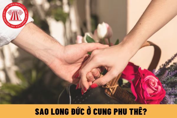 Sao Long Đức ở cung Phu thê? Sao Long Đức ở cung Phu thê có nên mua đất ở Ninh Thuận không?