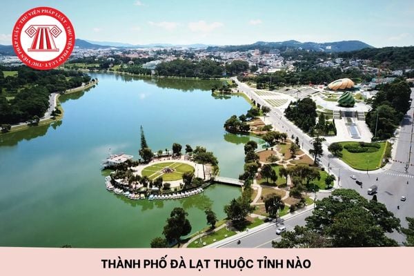 Hỏi đáp Pháp luật