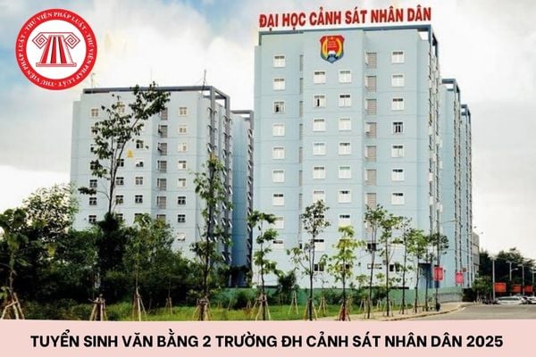 Hỏi đáp Pháp luật
