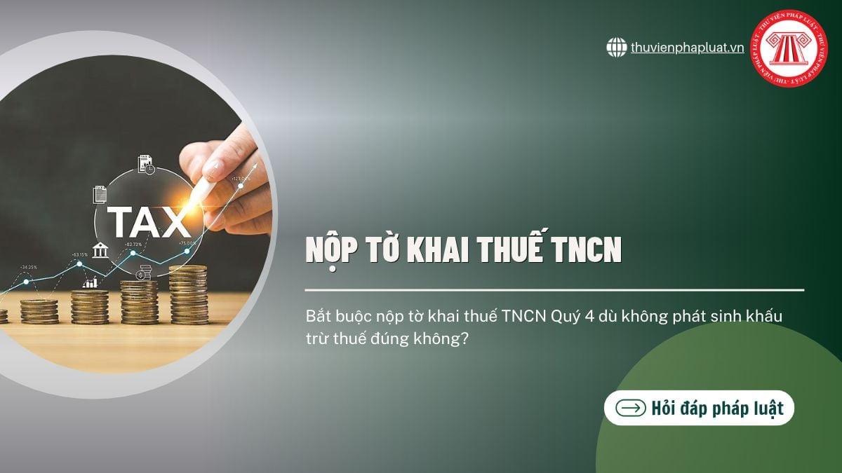 Hỏi đáp Pháp luật