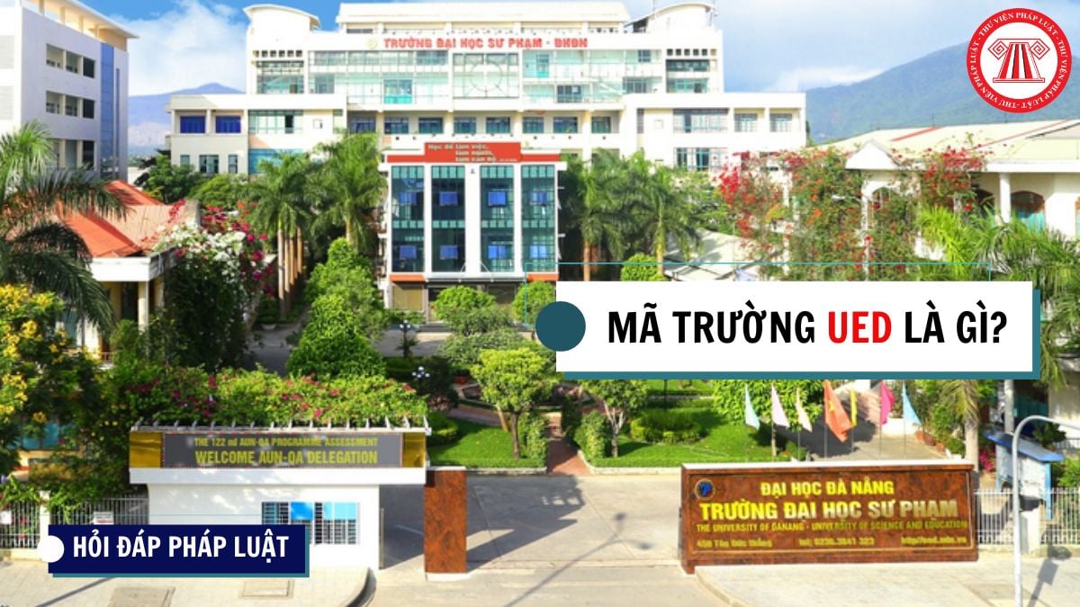 Hỏi đáp Pháp luật