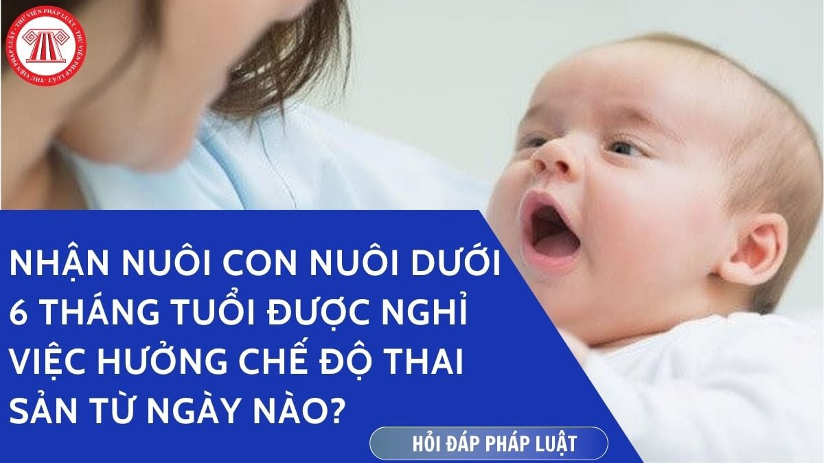 Hỏi đáp Pháp luật