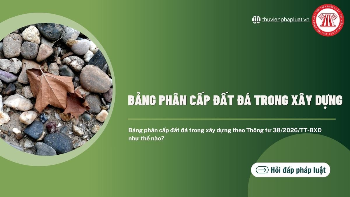 Hỏi đáp Pháp luật