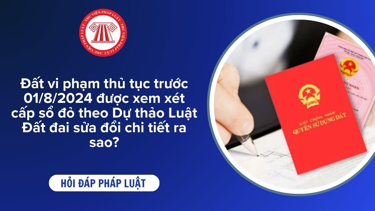 Hỏi đáp Pháp luật