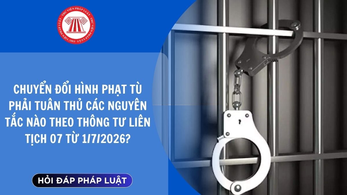 Hỏi đáp Pháp luật