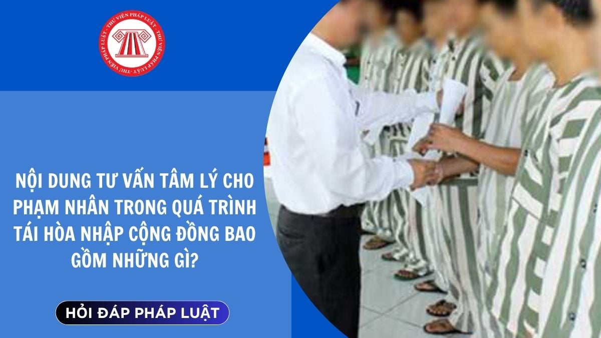 Hỏi đáp Pháp luật