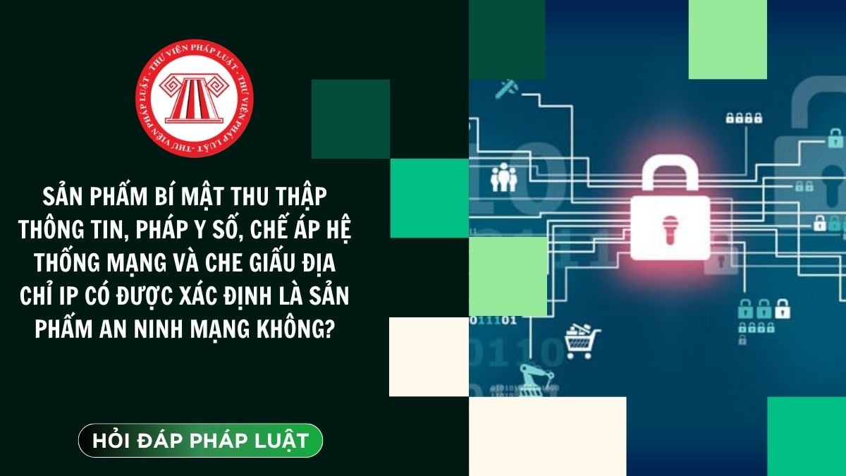 Hỏi đáp Pháp luật