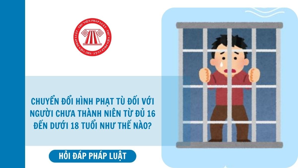 Hỏi đáp Pháp luật