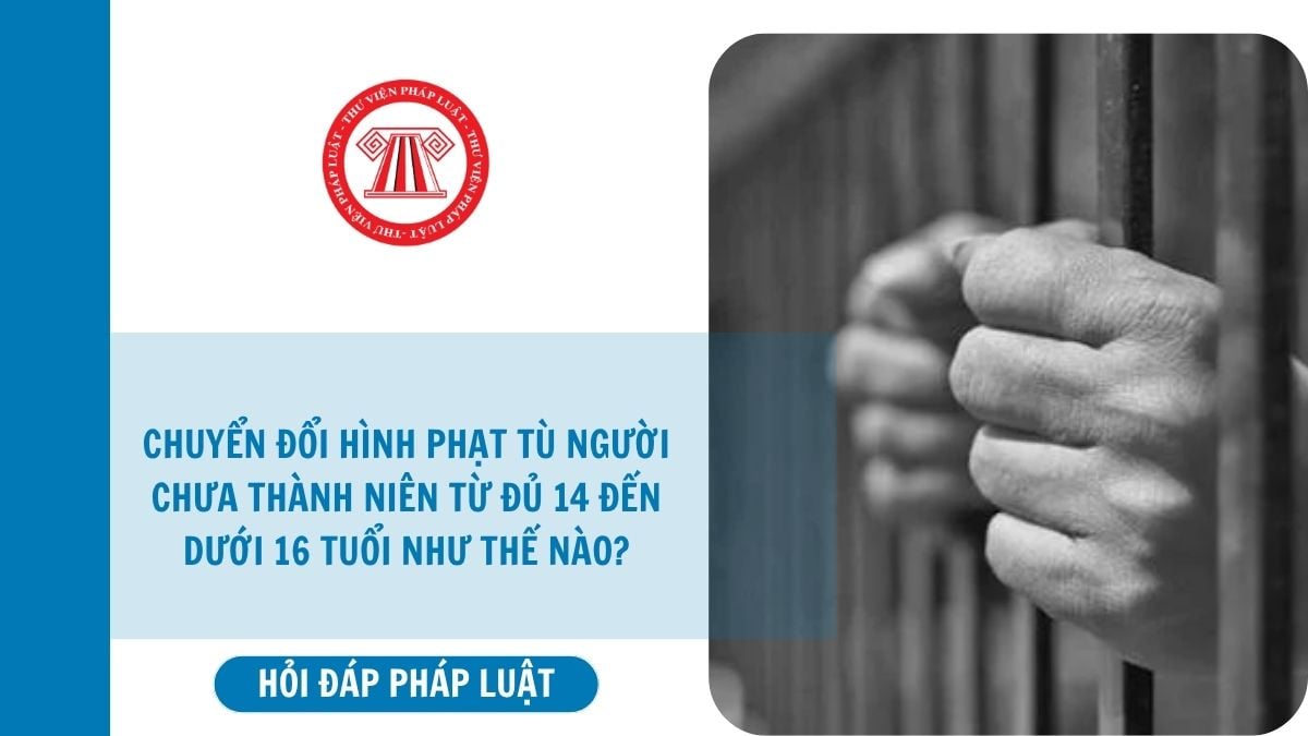 Hỏi đáp Pháp luật