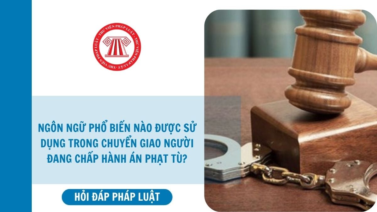 Hỏi đáp Pháp luật