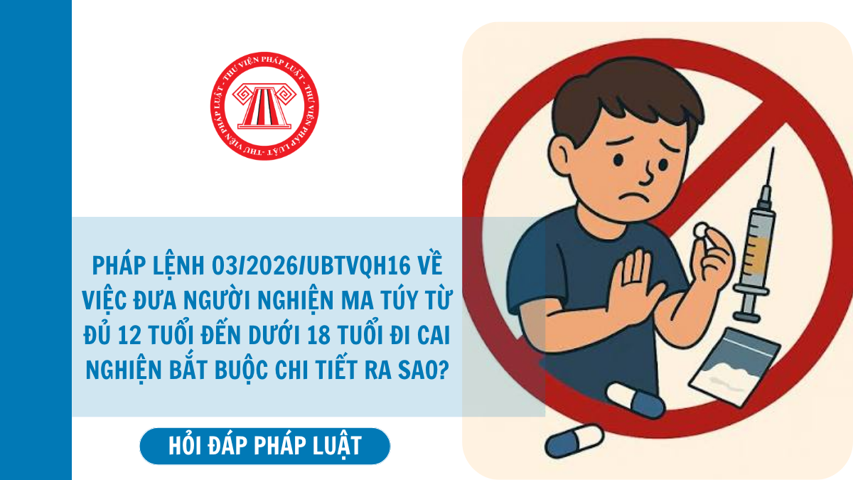 Hỏi đáp Pháp luật