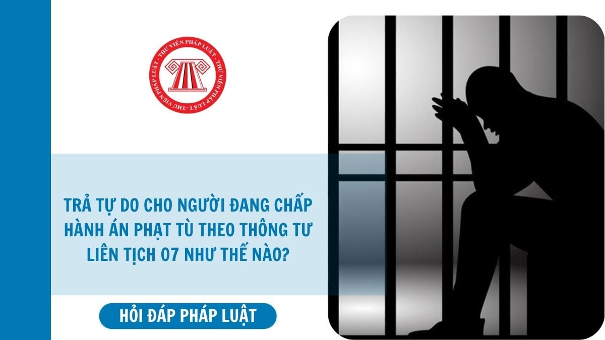 Hỏi đáp Pháp luật