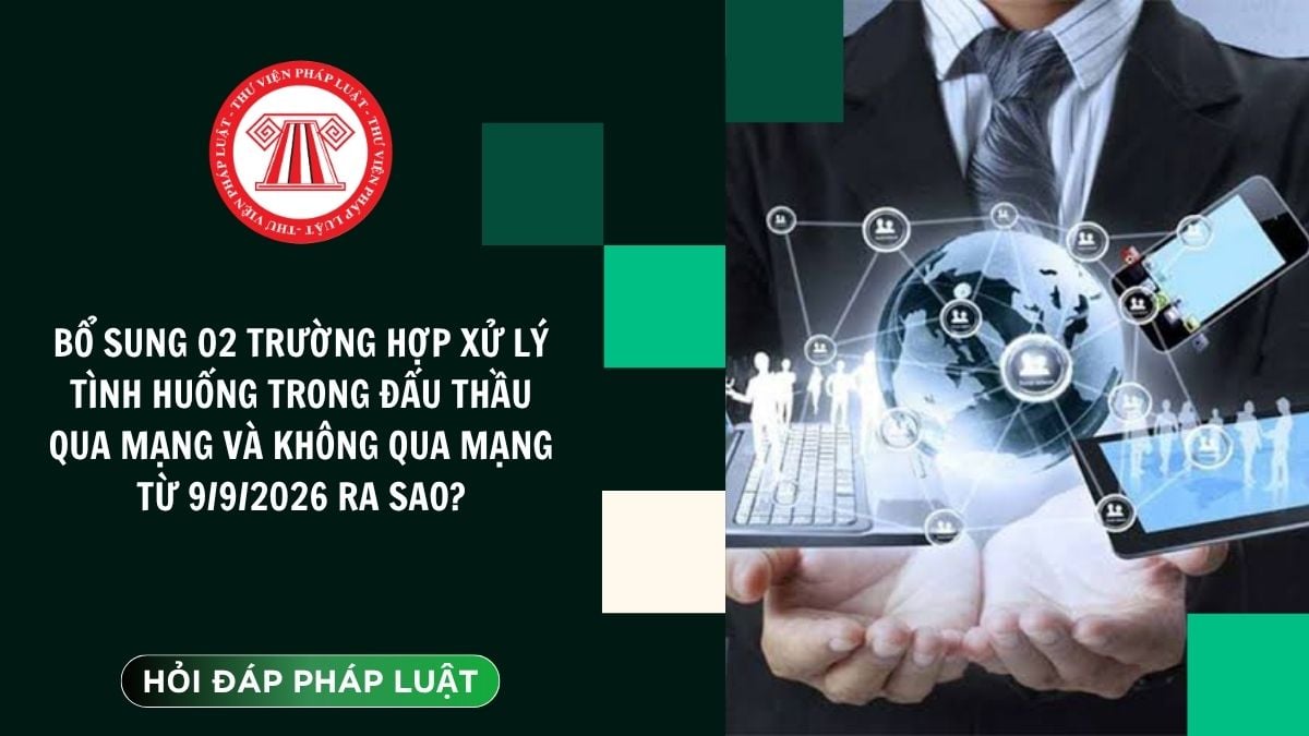 Hỏi đáp Pháp luật