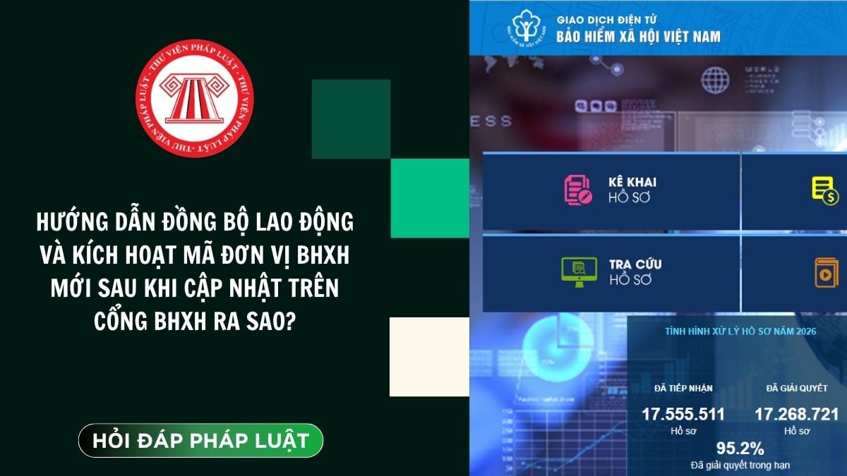 Hỏi đáp Pháp luật