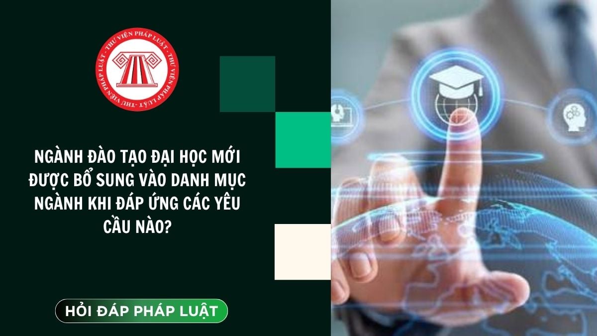 Hỏi đáp Pháp luật