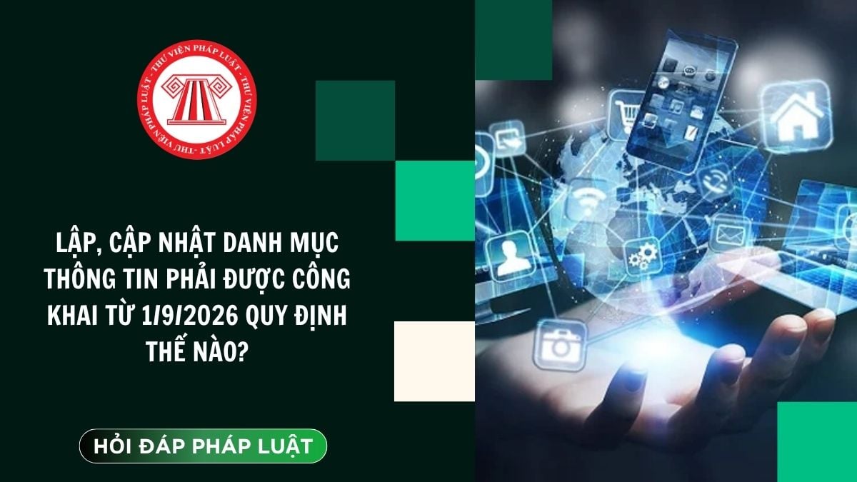 Hỏi đáp Pháp luật