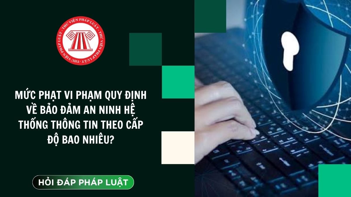 Hỏi đáp Pháp luật