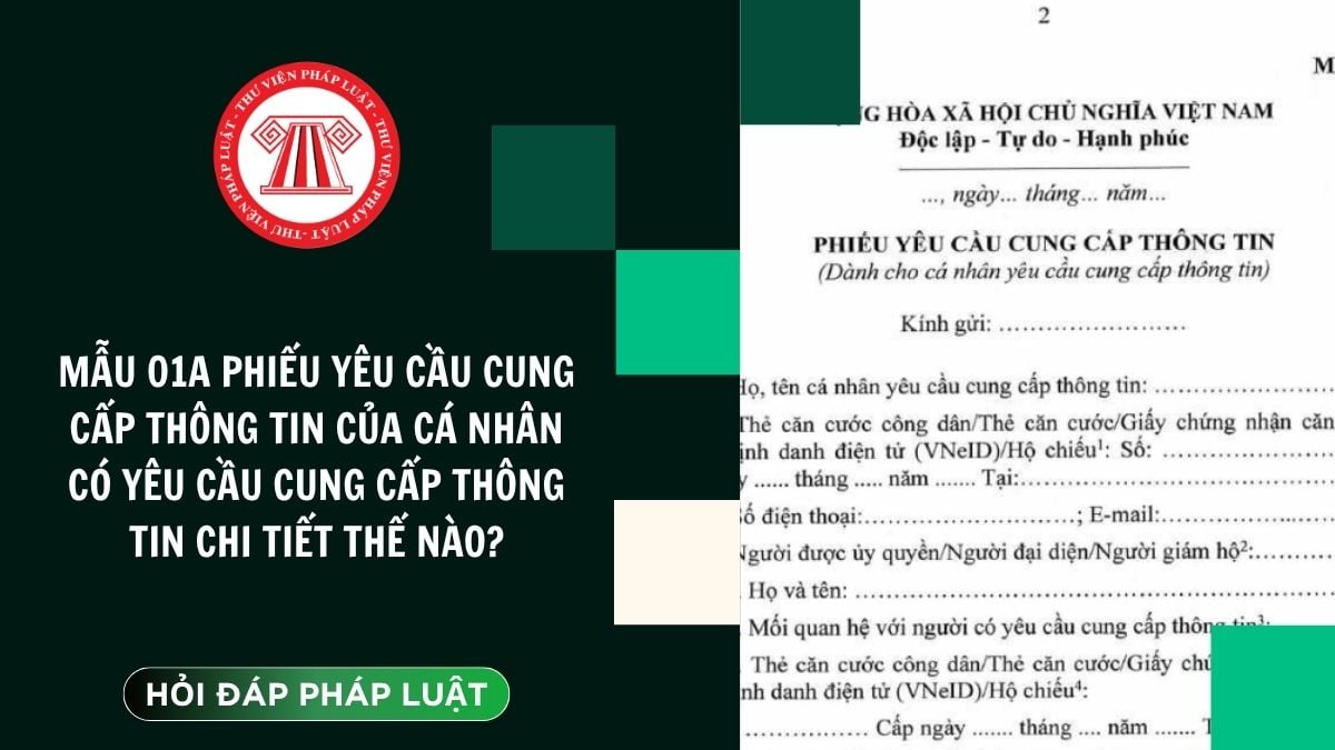 Hỏi đáp Pháp luật