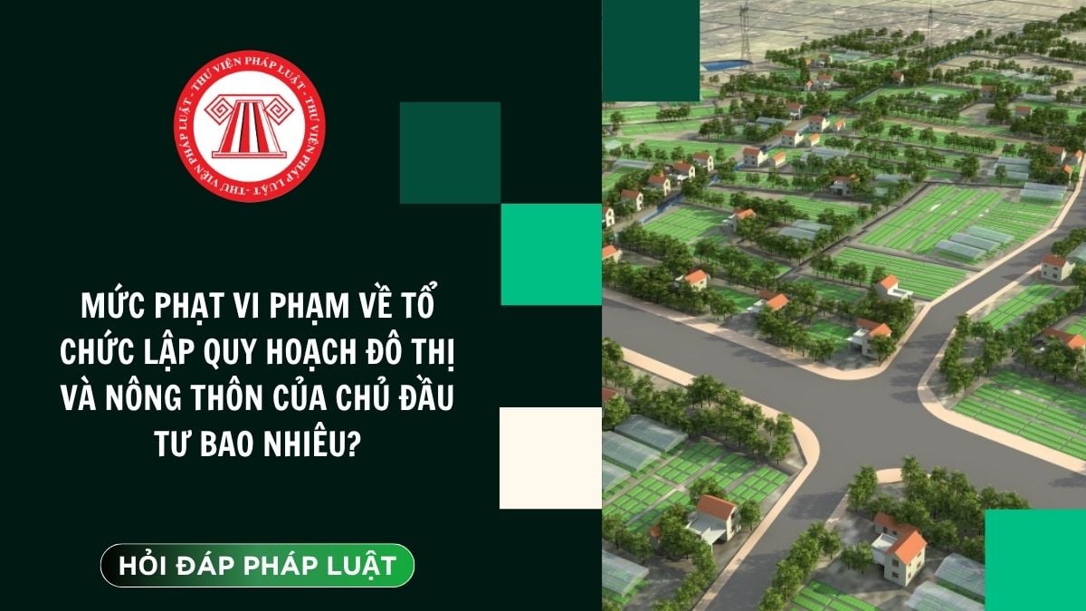 Hỏi đáp Pháp luật