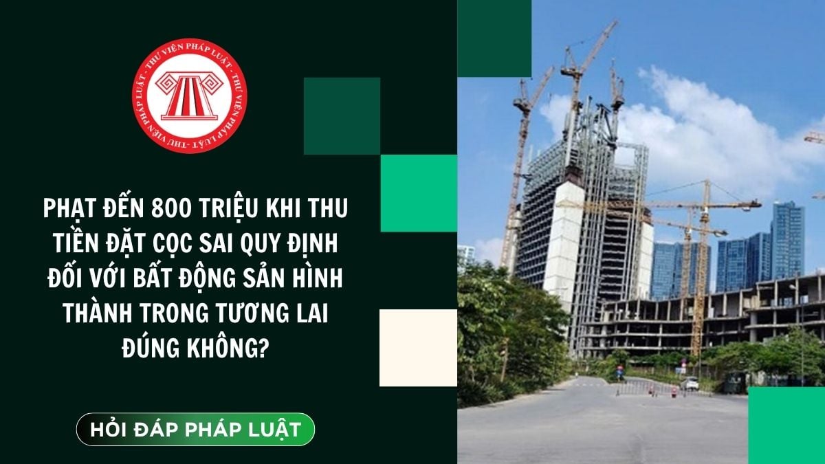 Hỏi đáp Pháp luật