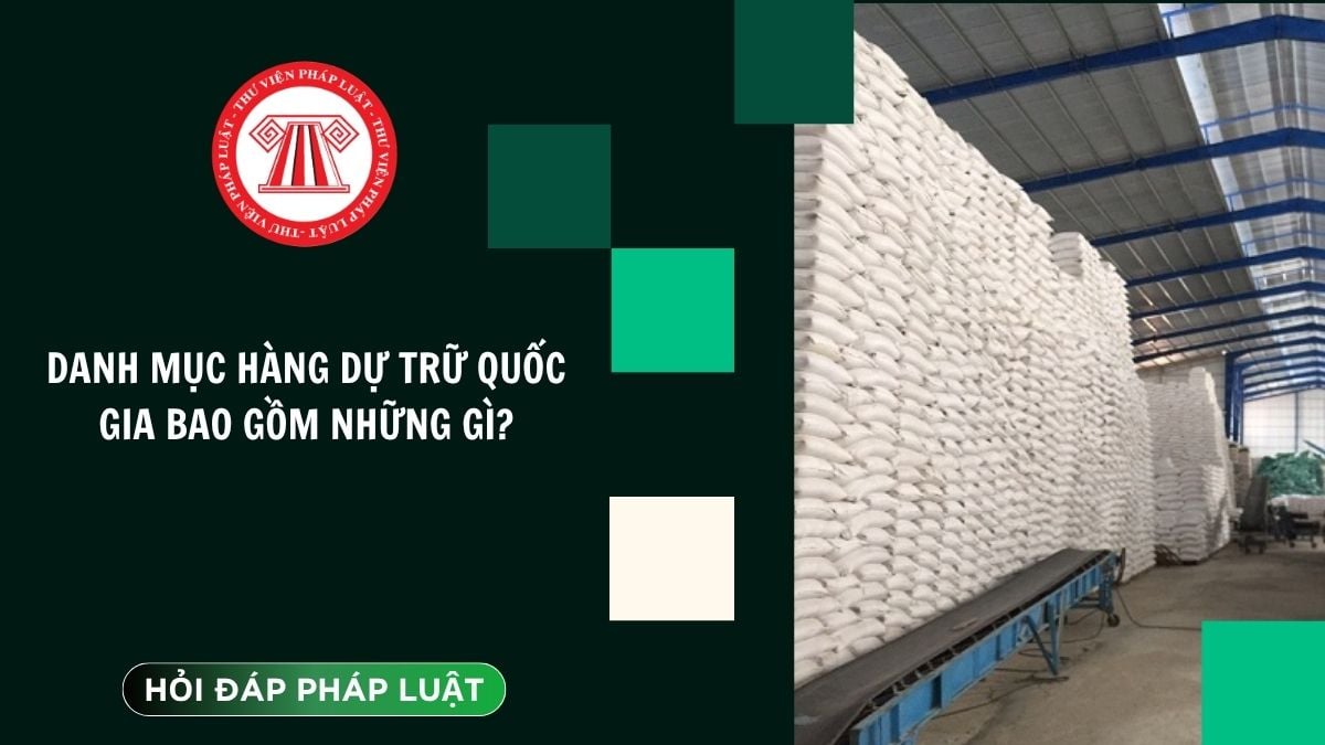 Hỏi đáp Pháp luật