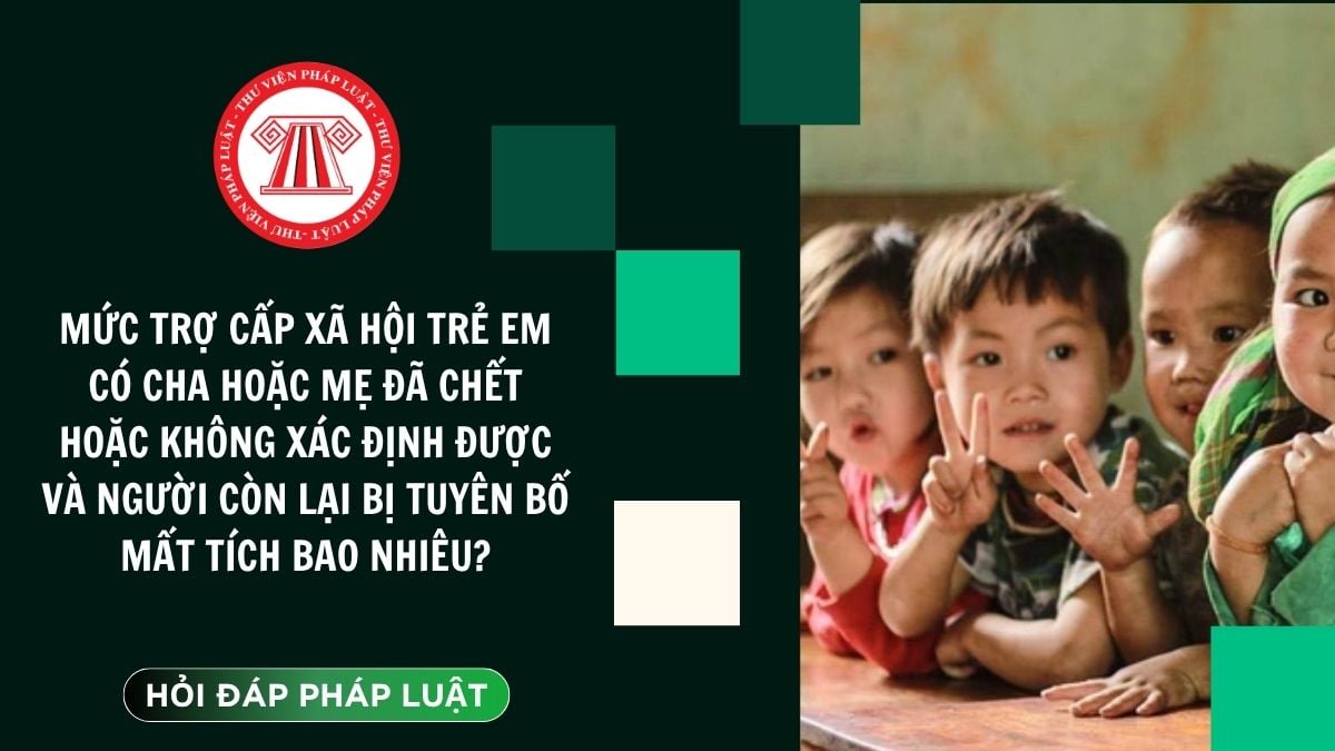 Hỏi đáp Pháp luật